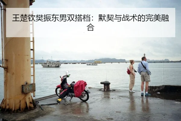 wang-chu-qin-fan-zhen-dong-nan-shuang-da-dang-mo-qi-yu-zhan-shu-de-wan-mei-rong-he-2-360.jpg