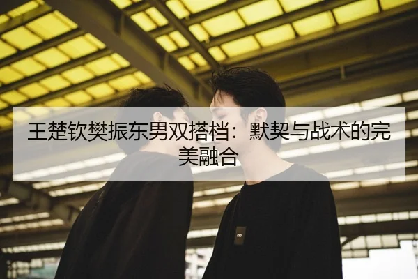 王楚钦樊振东男双搭档：默契与战术的完美融合